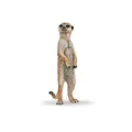 Produktbild: Papo - Realistische Erdmännchen stehend-Figur - 3 Jahre + - Kollektion Wilde Tiere - Lernspiel Savannentiere - Geschenkidee Spielzeug für Mädchen und Jungen