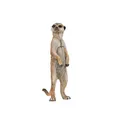 Produktbild: Papo Spielfigur Erdmännchen stehend Actionfigur Spielfigur