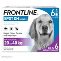 Produktbild: FRONTLINE Spot ON Hund L gegen Zecken, Flöhe & Haarlinge (große Hunde 20 bis 40 kg) - 6X Pipetten für bis zu 6 Monate Schutz - wasserfest