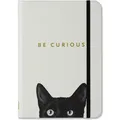 Produktbild: Peter Pauper Curious Cat Journal (Diary, Notebook) (Liniert, Harter Einband) (45521295)