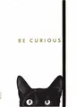 Produktbild: SM CURIOUS CAT JOURNAL - Non-book item - F245z