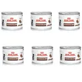 Produktbild: 6 x 195 g ROYAL CANIN Gastrointestinal Kitten Nassfutter / Katzenfutter