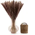 Produktbild: Blumtal 30 Stück Pampasgras getrocknet - Trockenblumen Pampas Grass, Naturbraun