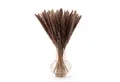 Produktbild: Kunstpflanze getrocknet - Trockenblumen, Ideales Dekoelement Pampasgras, Blumtal, Höhe 58 cm, 30, 50 oder 100 Stück