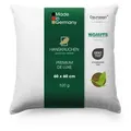 Produktbild: HANSKRUCHEN Kopfkissen Daunen 90% 60x60 cm Allergiker freundlich 3 Kammern Daunenkissen waschbar PREMIUM DE LUXE - Germany - Weiß