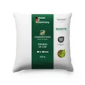 Produktbild: Hanskruchen® Premium de Luxe Daunenkissen 60x60 cm - Made in Germany Daunen Kopfkissen aus 100% Baumwolle - 3 Kammer Daunenkissen für Allergiker [1er Pack]