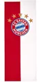 Produktbild: FC Bayern München Fahne Bannerfahne Logo