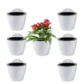 Produktbild: ShoppeWatch Selbstbewässernde Wand Blumentopf Hängend 7 Stück | Wandvasen für Pflanzen Blumen, Innen- und Außenbereich | Pflanzen Wand Mittelgroß, 12,7 cm PL34