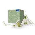 Produktbild: Villeroy & Boch - Mini Flower Bells Schneeglöckchen Set 2 Teilig, Kunstblumen, Künstliche Frühlingsblumen, Keramikblüten Zum Hängen Deko, Porzellanblümchen, Ostern Anhänger, Premium Porzellan