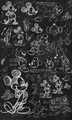Produktbild: Vlies-Fototapete DISNEY DIGITAL, MICKEY CHALKBOARD, Digitaldruck, 1 Teil, BxH 12
