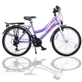 Produktbild: Talson Cityrad 26 Zoll Cityrad, 21 Gang Shimano, Kettenschaltung, mit Beleuchtung nach StVZO und Gepäckträger Lila