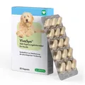 Produktbild: CP-Pharma VivoSyn für Hunde