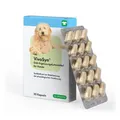 Produktbild: Vivosyn 30 Kapseln für Hunde Präbiotikum Probiotikum Durchfall Verdauungsstörung
