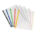 Produktbild: Herlitz Prospekthülle 10 Herlitz Prospekthüllen / DIN A4 / glasklar mit farbigen Rand