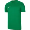 Produktbild: NIKE Kinder Trikot Y NK DF PARK VII JSY SS