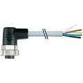 Produktbild: Murr Elektronik 7000-78051-9611000 Sensor-/Aktor-Steckverbinder, unkonfektionier (7000-78051-9611000)