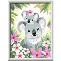 Produktbild: Ravensburger 288984 Malen-nach-Zahlen CreArt, ab 9 Jahre, Süße Koalas, mit Rahmen, 18 x 24 cm