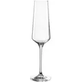 Produktbild: 6er-Set Leonardo Sektglas Puccini 280 ml Glas Transparent Klar