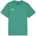 Produktbild: Puma teamGOAL Jersey Jr (152) (658637_05)