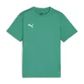 Produktbild: Puma Unisex Teamgoal Trikot Jr T-Shirt, Sport Green-Puma White-Power Green, 152 EU