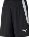 Produktbild: Puma Teamliga Shorts Jr 176