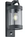 Produktbild: TRIO Leuchten LED Außen-Wandleuchte Trio Leuchten Sensor-Außen-Wandleuchte Sambesi E27, Ohne Leuchtmittel, Mit Bewegungsmelder nicht dimmbar nicht Smart Home-fähig