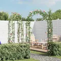 Produktbild: 2x Rosenbogen Metall Rankgitter Torbogen Gartenbogen Rankhilfe Spalier vidaXL