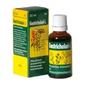 Produktbild: Gastricholan L flüssig