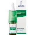 Produktbild: Chelidonium Augentropfen Rh D 4 10 ml