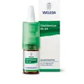 Produktbild: Weleda Chelidonium Rh D4 Augentropfen 10 ml