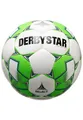 Produktbild: Derbystar Brillant APS V22