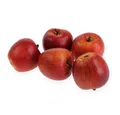 Produktbild: Kunstpflanze Gala Apfel Rot Kunst Deko 12er-Set 5cm - Realistisch, Hochwertig, Viana, Höhe 5 cm