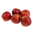 Produktbild: Gala Apfel Rot Kunst Deko 12er-Set 5cm - Realistisch, Hochwertig, Täuschend