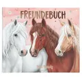 Produktbild: Miss Melody Freundebuch Motiv 1 Art. 13938 von Depesche