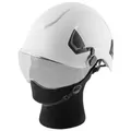 Produktbild: STAHLWERK Schutzhelm SVH-100 ST mit Visier EN397 EN166 Forsthelm