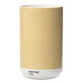 Produktbild: Pantone Porzellan Vase mit Geschenkbox, Jar, dekorative hochwertige Blumenvase, 1 Liter, Cream 7501 C