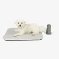 Produktbild: Manuly Hundedecke für unterwegs, Set aus Hundematte selbstaufblasend, kühlendem wasserabweisenden Bezug und Tragetasche, waschmaschinentauglich, Bezug kann gewechselt Werden, 60x40x3,5cm, 470g