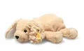 Produktbild: Steiff - 242595 Soft Cuddly Friends Floppy Lumpi Hund, Honey Yellow