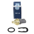 Produktbild: MEYLE Temperaturgeber Dichtring Feder für VW GOLF 4-6 PASSAT POLO 06A919501A