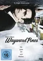 Produktbild: Wayward Pines: Ein guter Ort zum Sterben [3 DVDs]