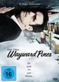 Produktbild: Wayward Pines - Ein guter Ort zum Sterben / Staffel/Season 1 # 3-DVD-NEU