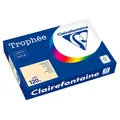 Produktbild: Clairefontaine Kopierpapier Trophée chamois DIN A4 120 g/qm 250 Blatt 1203PC