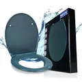 Produktbild: WENKO Toilettendeckel mit Absenkautomatik, oval, belastbar bis 175 kg, Abnehmbarer WC Sitz, Klodeckel aus antibakteriellem, stabilem Duroplast, einfache Montage, Mod. Samos, blau
