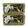 Produktbild: Terra Exotica Sphagnum Moos (300 g) Torfmoos für Garten-, Zimmerpflanzen & Terrarien