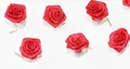 Produktbild: Haarschmuck - 6 Haarspiralen Curlies mit roten Rosen - Brautschmuck