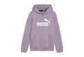 Produktbild: PUMA Kapuzenpullover Puma Mädchen Kapuzenpullover ESS Logo Hoodie 587031
