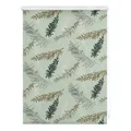 Produktbild: LICHTBLICK Rollo Klemmfix FIR BRANCHES - grün - 60x150 cm