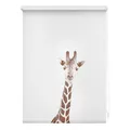 Produktbild: LICHTBLICK Rollo Klemmfix GIRAFFE - weiß-braun - 60x150 cm