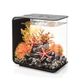 Produktbild: biOrb 72029 FLOW 15 LED, schwarz, 15 L Tankvolumen – rechtkantiges Design-Aquarium aus Acryl, Set mit Filter-System, LED-Beleuchtung, Boden-Kies, Luftausströmer