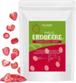 Produktbild: Saliamo | 100g gefriergetrocknete Erdbeeren - Scheiben - Erdbeeren getrocknet